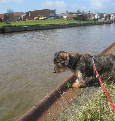 Filou