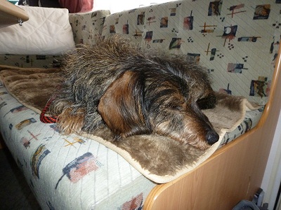 Filou