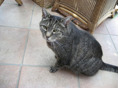 Billy