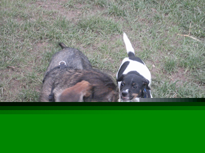 Filou und Jette