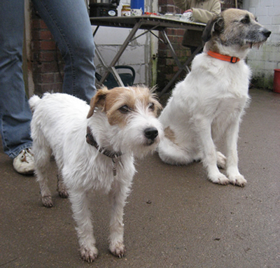 ronja und Flora