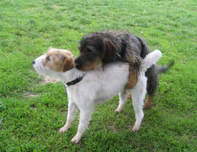 Filou und Flora