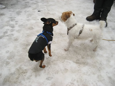 Flora und Charly