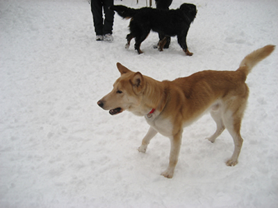 Gerry