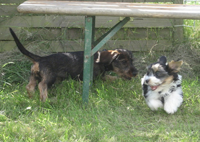 Filou und Justin