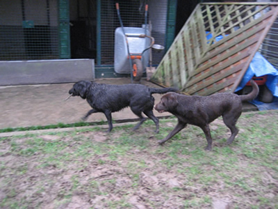 Tara und Paula