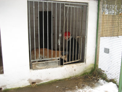 Einzelhaft
