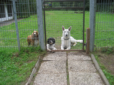 Hunde