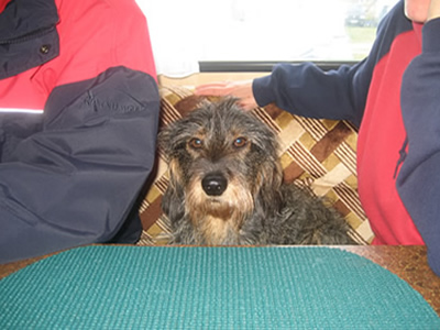 Filou